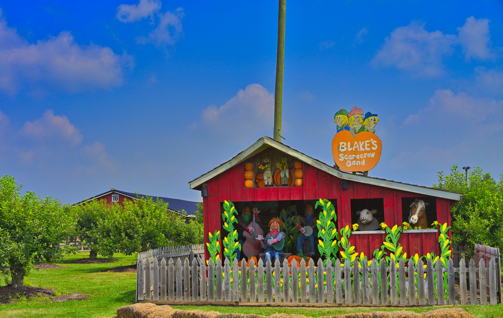 Blake's Scarecrow Band attraction — a red barn structure with animated scarecrow musicians, corn stalk decorations, and a white picket fence set among apple orchard rows at Blake's Apple Orchard, Armada, Michigan — commercial property photography by Atelier Lens LLC