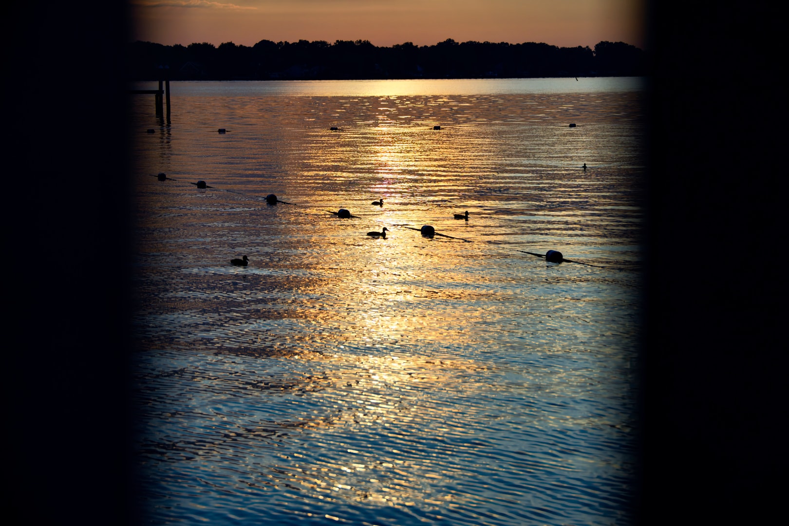 Ducks and buoys on Anchor Bay at golden sunset viewed from Burke Park dock — New Baltimore Michigan photography by Atelier Lens LLC